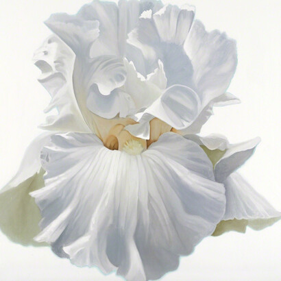 Parade. Courtesy of Piermarq 