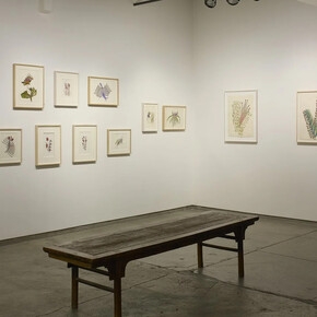 Anna Zemánková, Collaging the visition, exhibition view. Courtesy of Cavin Morris Gallery