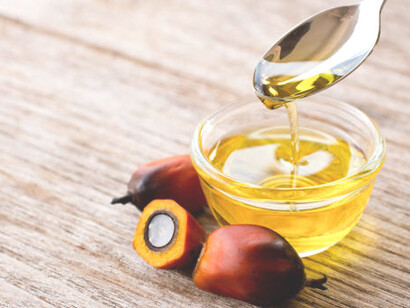 Presented on a table, palm oil and oil palm fruit symbolize their profound impact on global industries and environmental discussions
