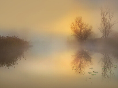 Noi, che siamo parte della natura, viviamo in un modo che non risponde alle logiche della natura stessa