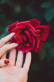 Le temps entre les mains