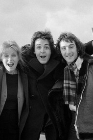 The Wings