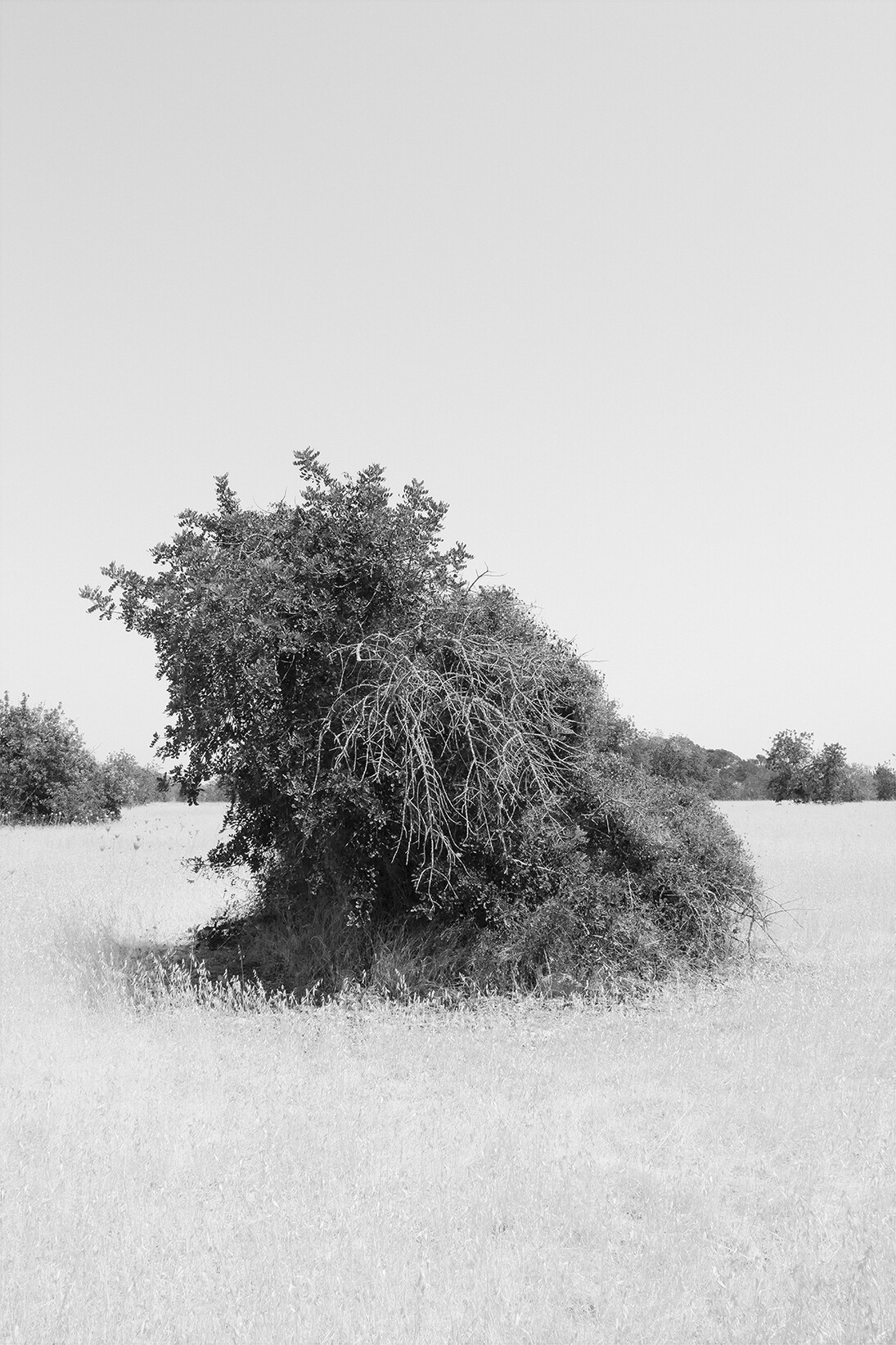 Niklas Goldbach, Everything in its right place (07), 2013, 8 de 78 Photos sur papier Photo-Archive, 77,5 x 55 cm, Edition : 3, Courtesy Artist & Bendana | Pinel Art Contemporain