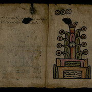 In Tlilli in Tlapalli. Courtesy of Museo Amparo