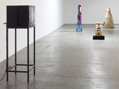 Manifestations. Courtesy of Galerie Guido W. Baudach