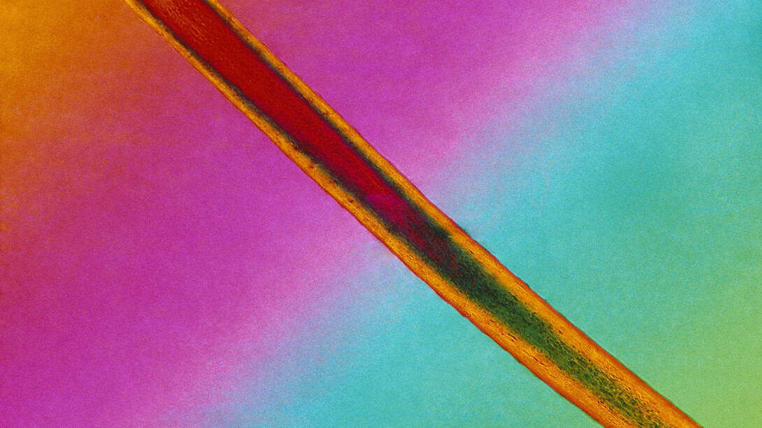 Broomberg and Chanarin, Trace Fiber from Freud’s couch under crossed polars with Quartz wedge compensator (#2), 2015 © Broomberg and Chanarin, 2015. Courtesy Broomberg and Chanarin; courtesy Lisson Gallery, London