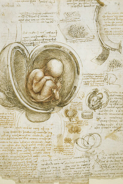 A page showing Leonardo's study of a foetus in the womb (c. 1510). Royal Library, Windsor Castle, UK