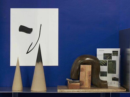 Camille Henrot, The Pale Fox, 2014, installation view, Chisenhale Gallery. Commissioned and produced by Chisenhale Gallery in partnership with Kunsthal Charlottenborg, Copenhagen; Bétonsalon – Centre for art and research, Paris and Westfälischer Kunstverein, Münster. Courtesy kamel mennour, Paris and Johann König, Berlin. Photo: Andy Keate. © ADAGP