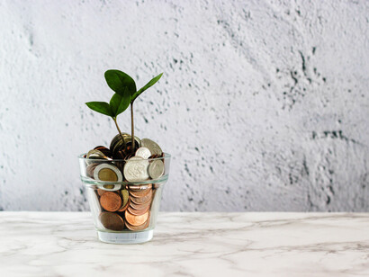 Es difícil poder llegar a realizar unas proyecciones económicas fiables