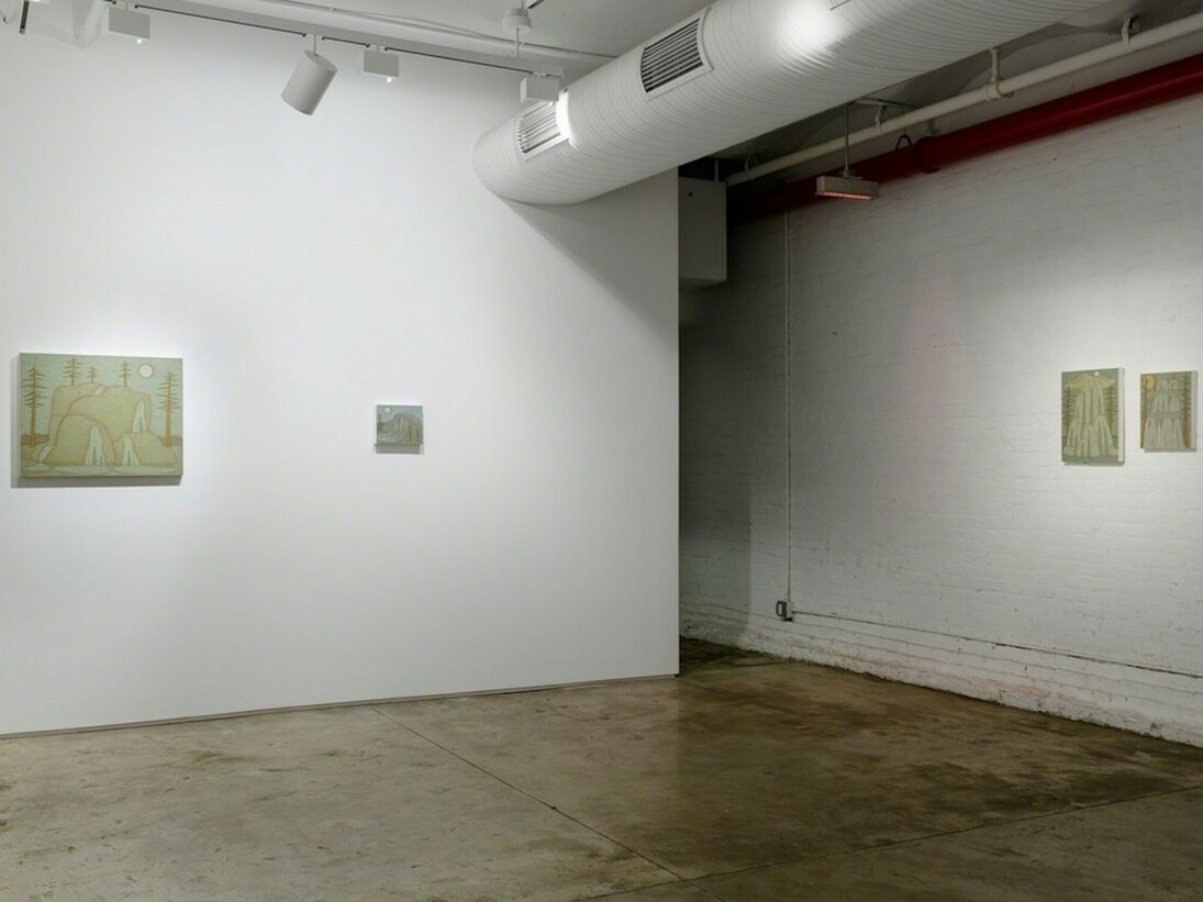 John Dilg. Natural Memory, Exhibition view. Courtesy of Taymour Grahne Gallery