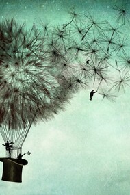 A new life