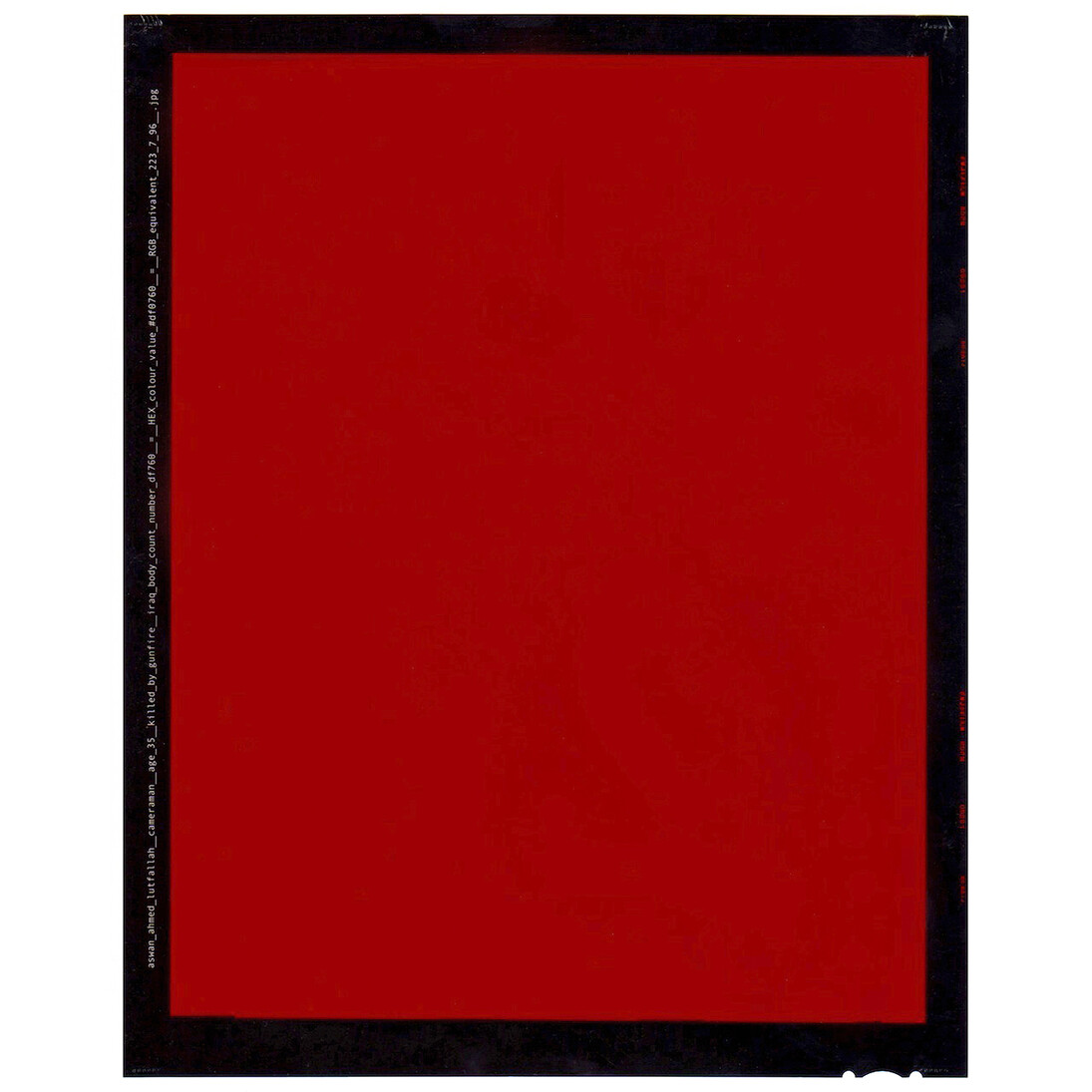 David Birkin, Profiles, 2011