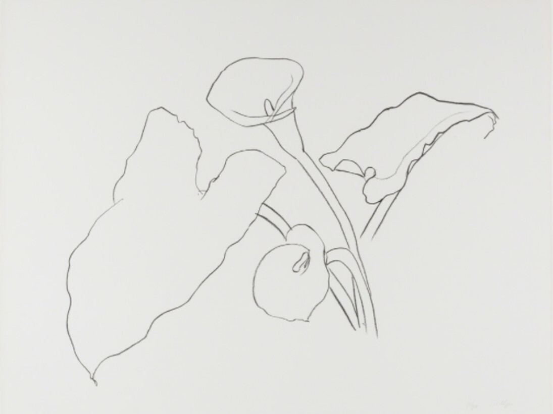 Ellsworth Kelly. Courtesy of Leslie Sacks Gallery