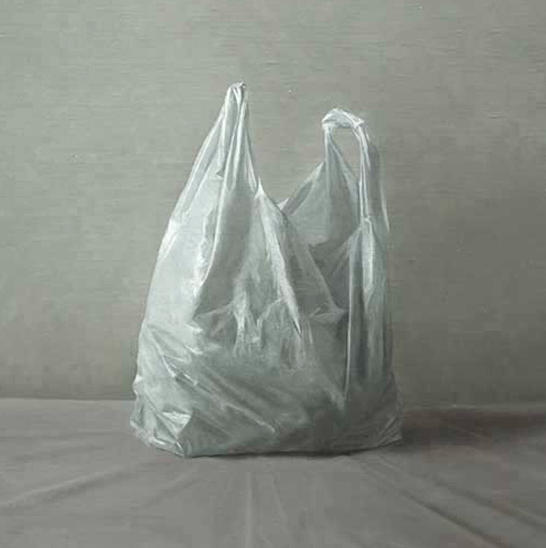 Carrier bag, oil on linen, 40 x 33 cm. Courtesy of the Molesworth Gallery

