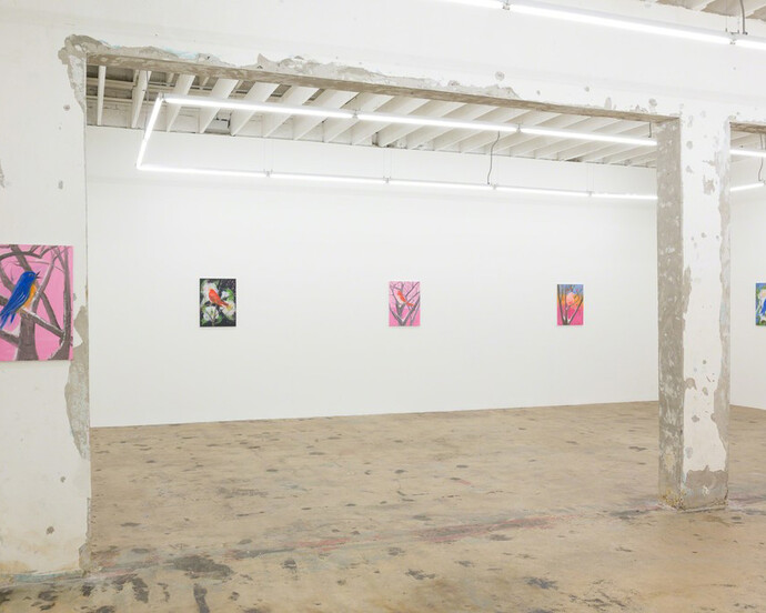 Snowbirds. Courtesy of Nina Johnson