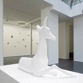 Miguel Branco, Spectres, Exhibition view. Courtesy of Jeanne Bucher Jaeger