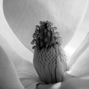 The 25th Anniversary Show. Courtesy of Scott Nichols Gallery