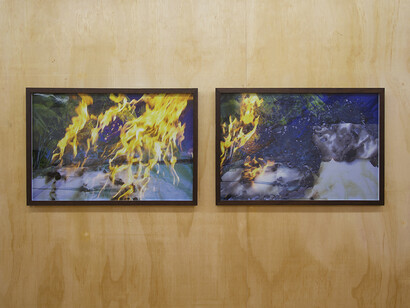 Johanna Breiding. Courtesy of Ochi Projects