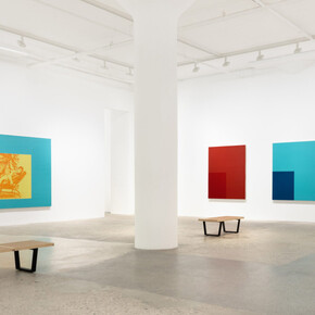 David Diao, Put to the test, exhibition view. Courtesy of Greene Naftali