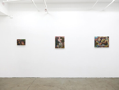 Erin Milez, Everything the light touches, exhibition view. Courtesy of Monya Rowe Gallery