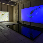 Dominique Knowles, The solemn and dignified, exhibition view. Courtesy of the artist and Kiang 
Malingue. Photo by Samson Wong Pak Hang