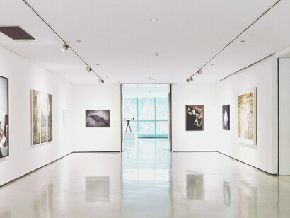 A collection of paintings displayed on a white wall, highlighted by museum-grade lighting, emphasizing gallery lighting design and art preservation