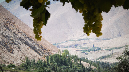 Valle de Elqui en Chile, uno de los lugares turísticos más hermosos y visitados del planeta
