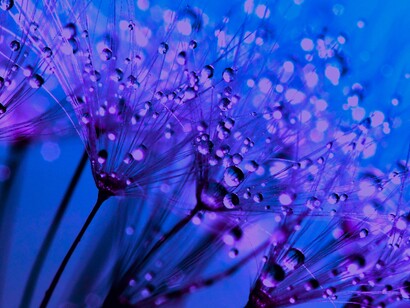 La vida, es e misterio