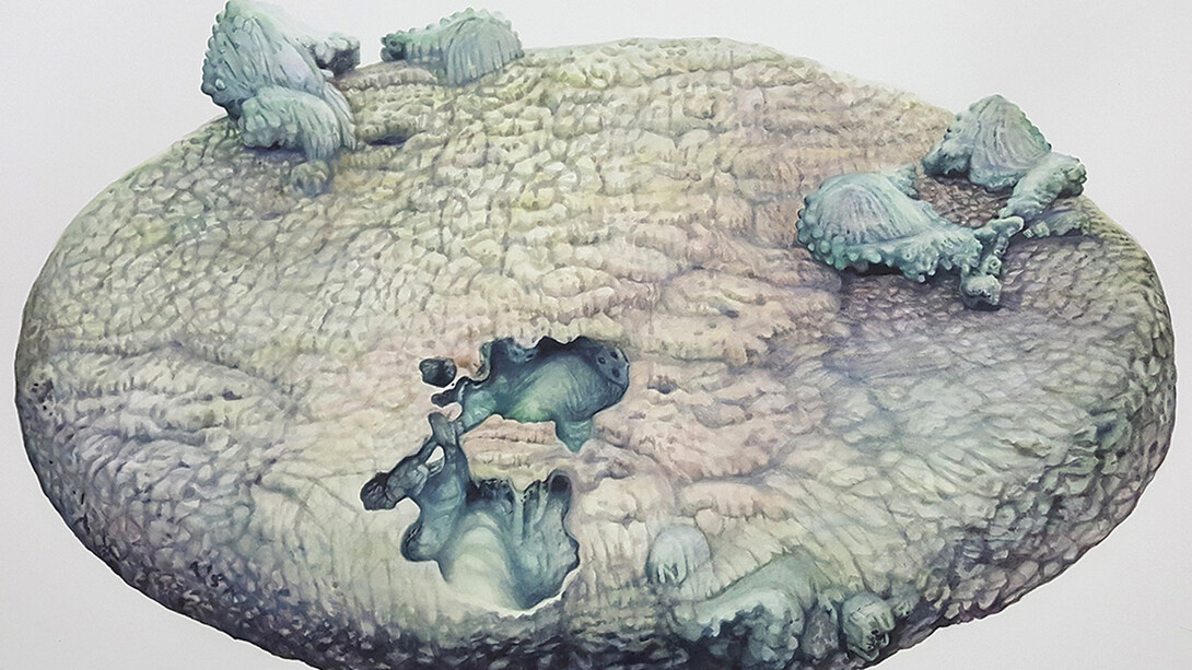 Colette Robbins, Slippage, 2016. Watercolor on paper, 30 x 41 inches.