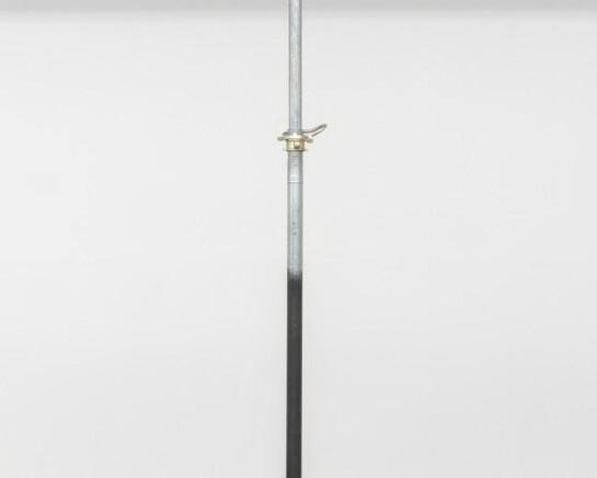 Anita Leisz. Courtesy of 21er Haus