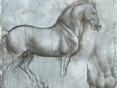 Studio di cavallo visto di lato, di fronte e di tre quarti