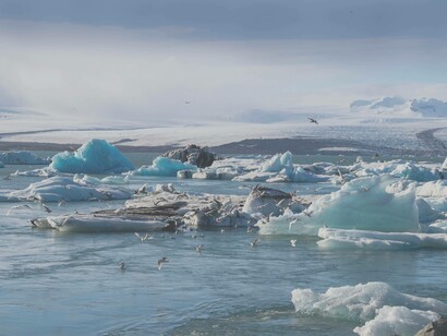 The denial of climate change is impossible to question given the melting ice caps