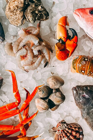 Collection of seafood ingredients on ice
