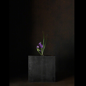 A Stage. Courtesy of Galerie marie-robin