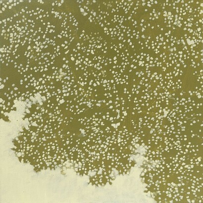 David Kidd, Small canopy 1. Courtesy of Anne Loucks Gallery 