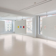 Anna Niesterowicz, 20 MG ok, exhibition view. Courtesy of Foksal Gallery