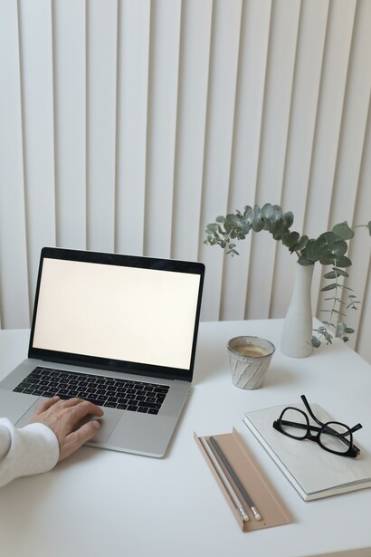 Laptop on a table with a plant and some glasses