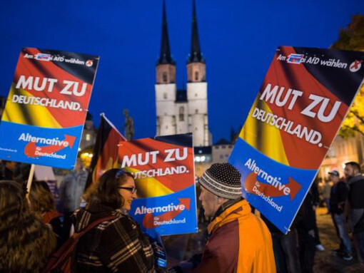 Una manifestazione di Alternative für Deutschland 