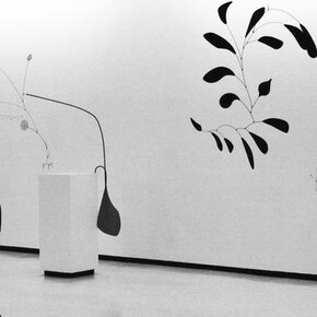 Becoming the Breeze. Courtesy of MCA Chicago