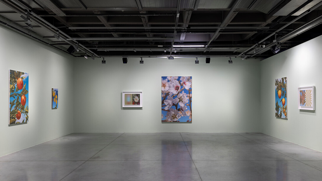 Mustafa Hulusi, Breathing in the world, exhibition view. Courtesy of Dirimart