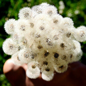 Besides colonisation. Courtesy of © Galería José de la Fuente