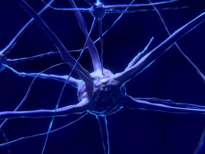 Alrededor de las neuronas y el cerebro se esconden algunos de los secretos más fascinantes del ser humano