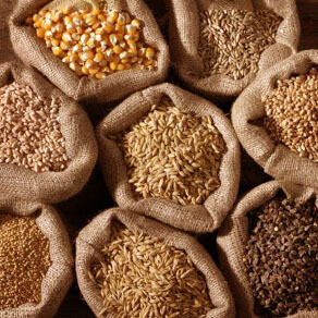 Un eccesso di fitati, dove cereali e legumi ne sono ricchi, compromette l’assorbimento di alcuni micronutrienti essenziali 