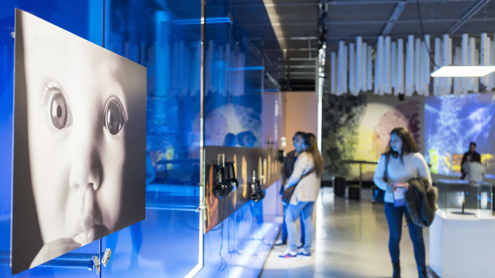 Man and Genes. Courtesy of Cité des Sciences et de l'Industrie