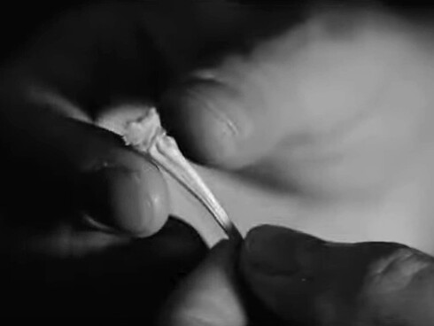 Stani Labonia in un'immagine tratta dal video della canzone "Forse", pubblicata dalla Audioimage