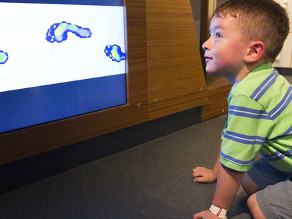 Hall of Human Life. Courtesy of Museum of Science