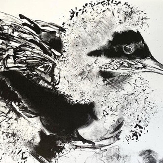 Works on paper, artwork in exhibition. Courtesy of Salamanca Arts Centre