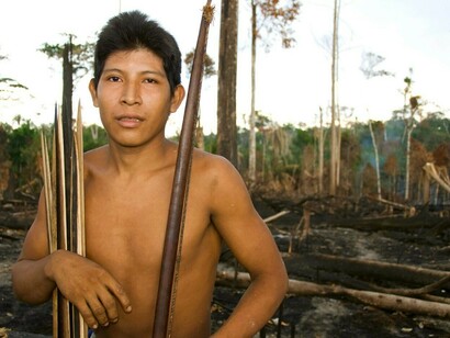 Hemokoma'á posa junto a parte del territorio awá devastado. Un 31% de este ha sido destruido por los invasores ilegales. © Survival