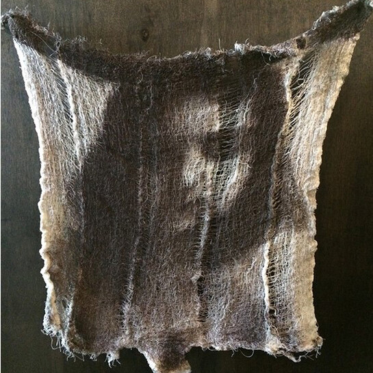 Sara Salaway, Untitled, 2015, salt print on fabric, 14 X 17in