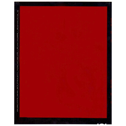 David Birkin, Profiles, 2011